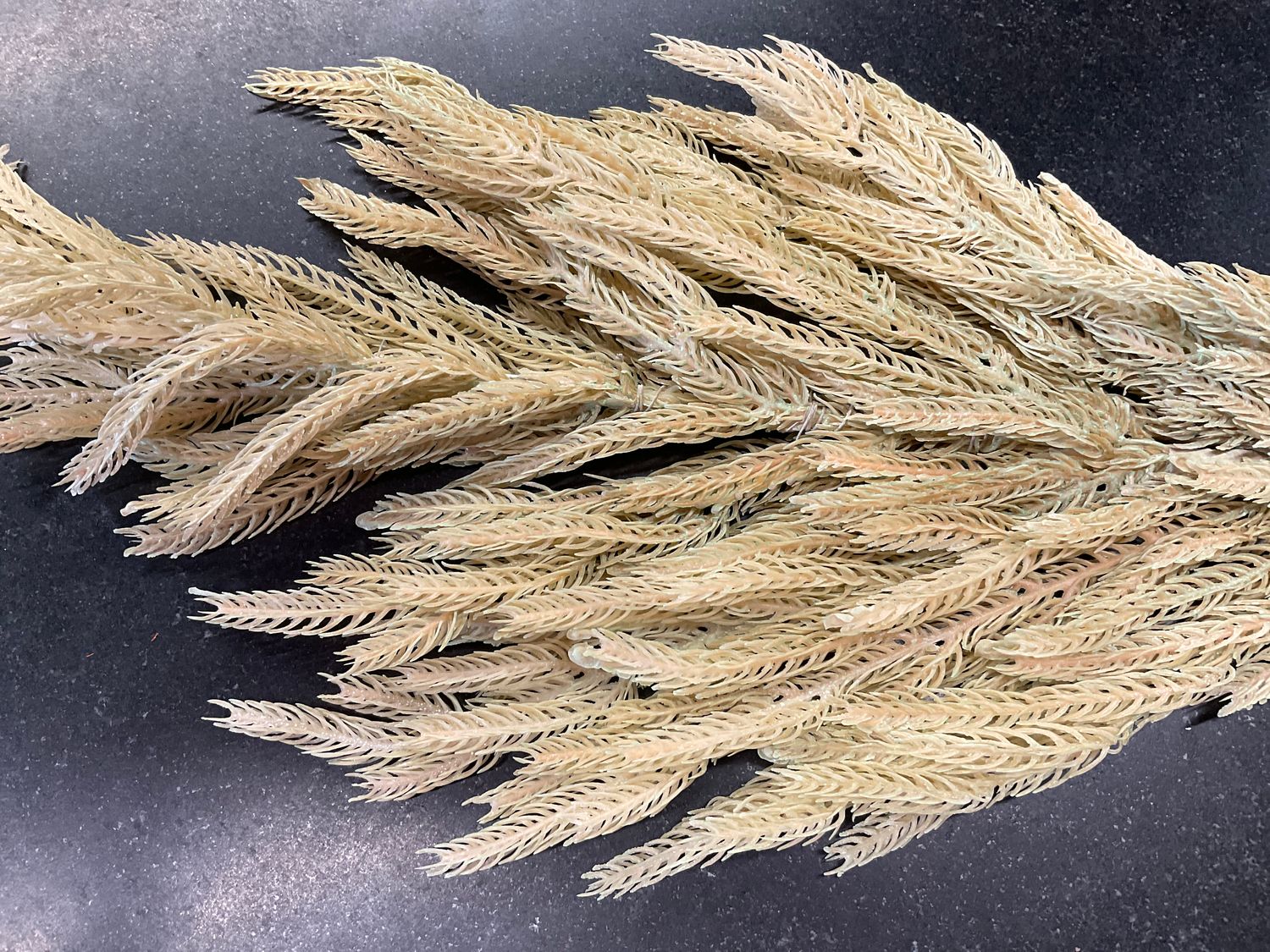 Faux dried Norfolk branch