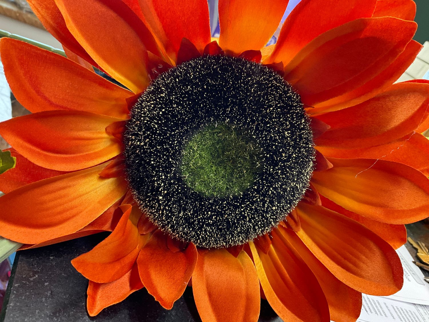 Orange sunflower spray