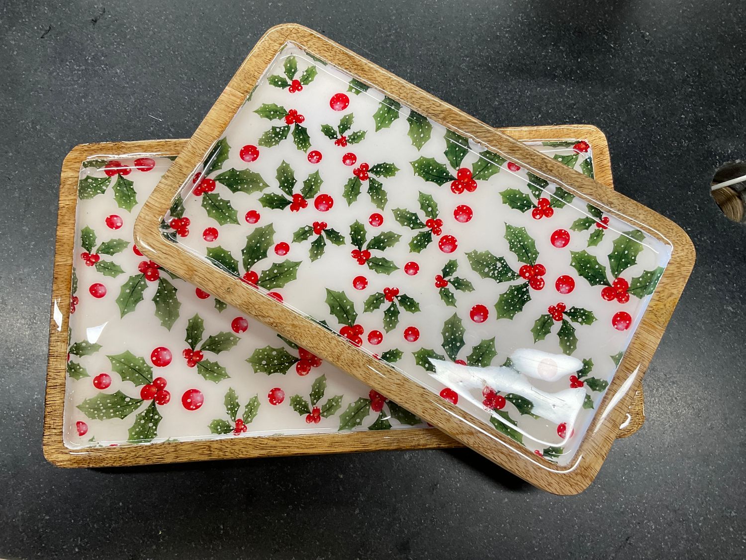 Set of two hallway, enamel rectangle trays