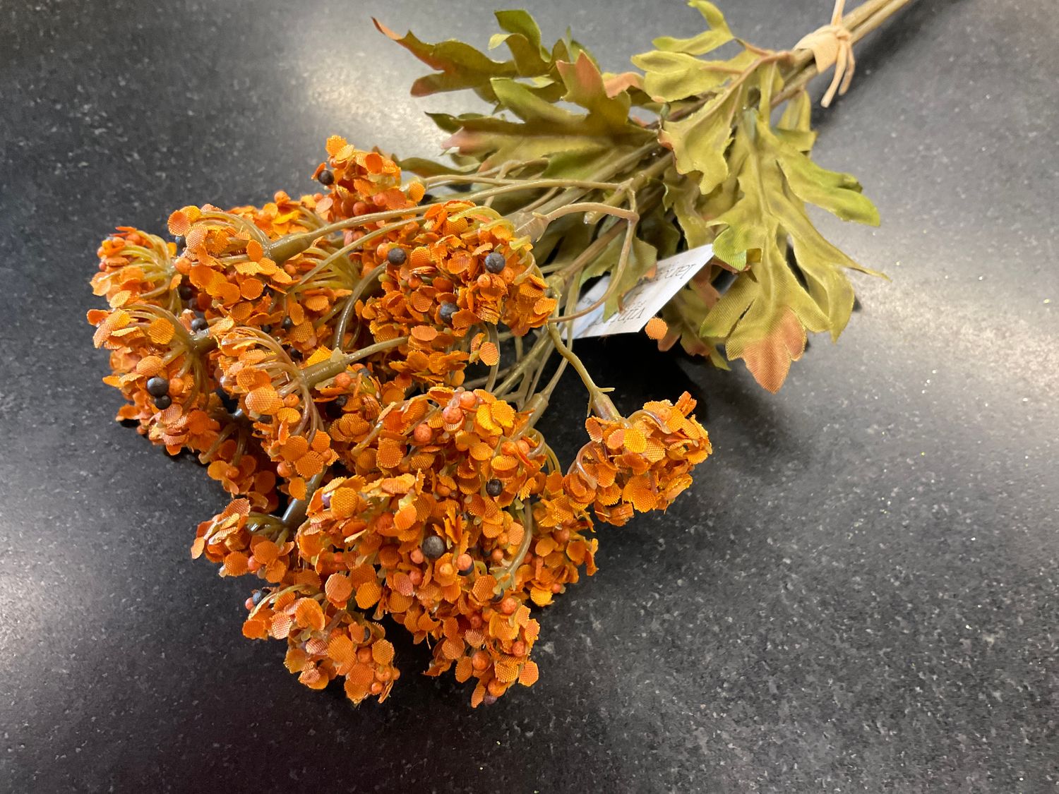 Fennel flower bundle