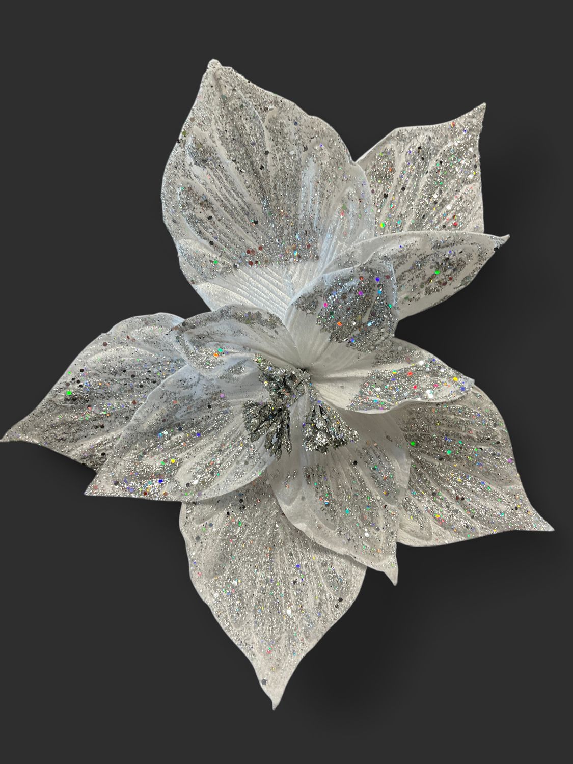 Magical Magnolia poinsettia white/silver