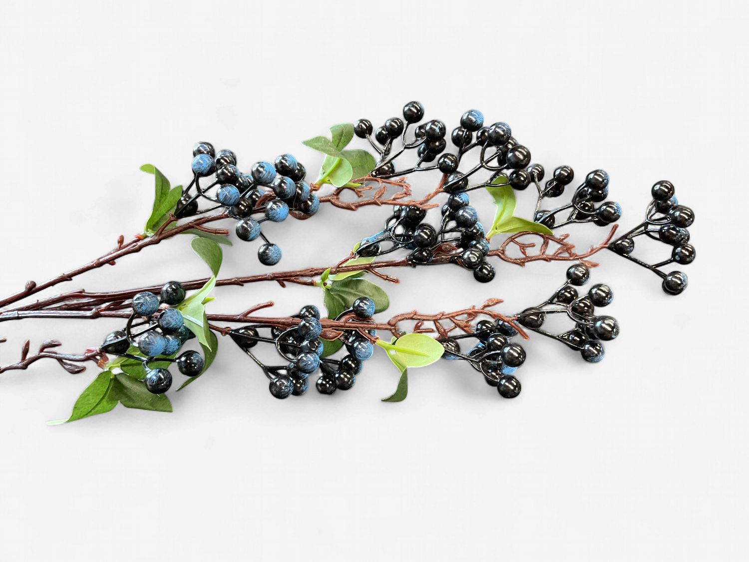 Grand PYRACANTHA Berry