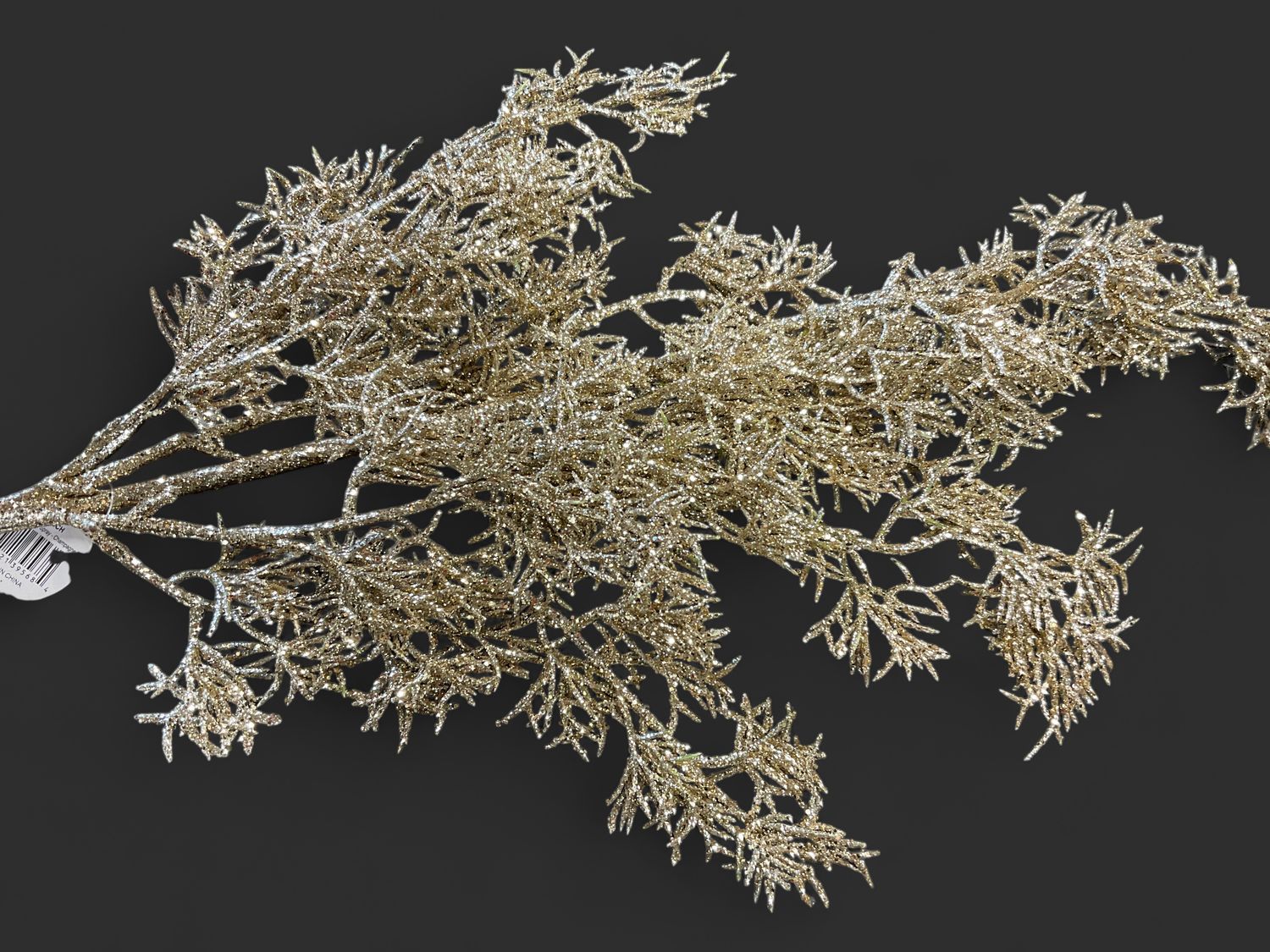 Glittered Italian Cypress champagne