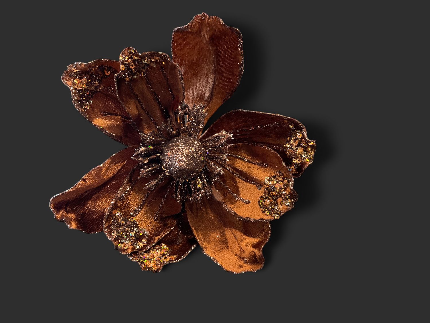 Bronze Magnolia stem