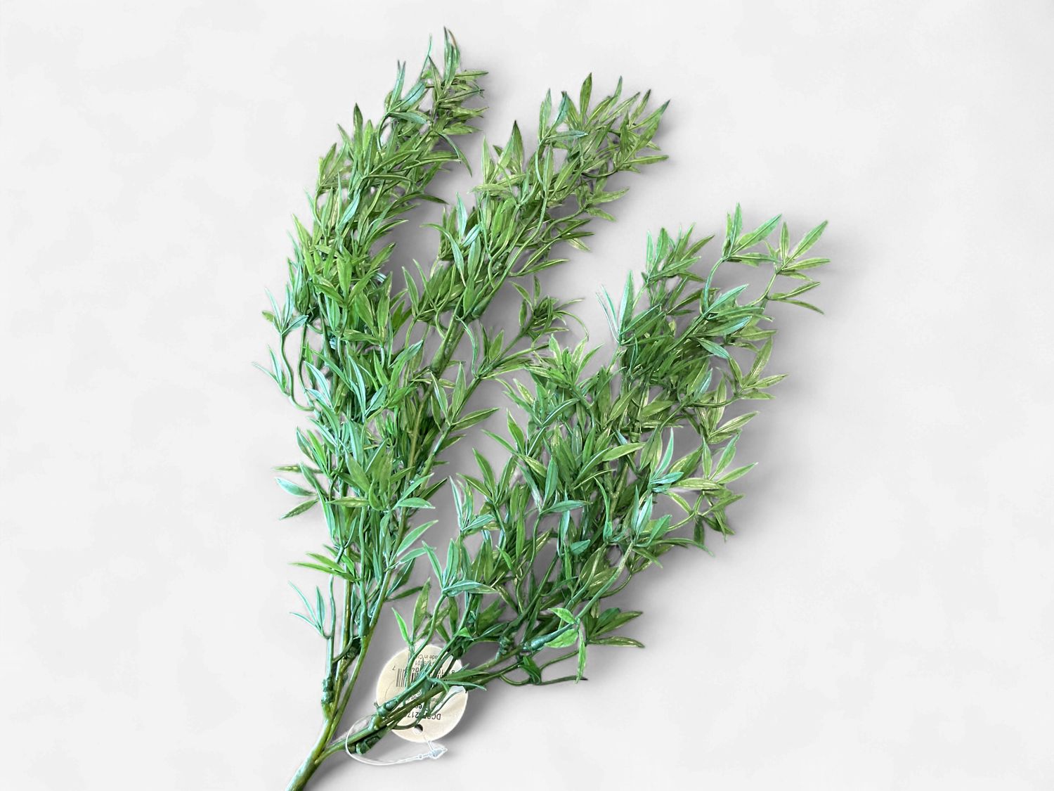 Stellatus Foliage