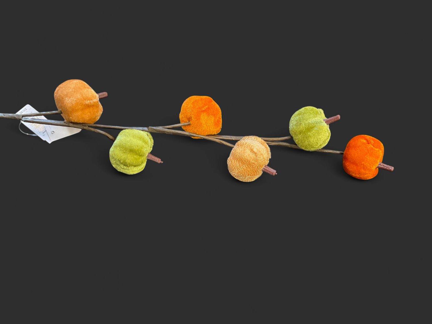 Pumpkin stem