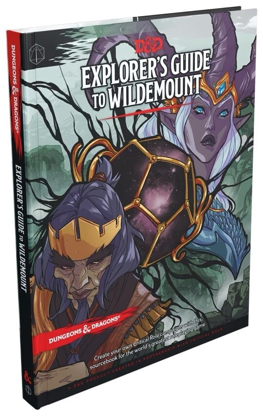 Dungeons and Dragons Explorer’s Guide to the Wildemont