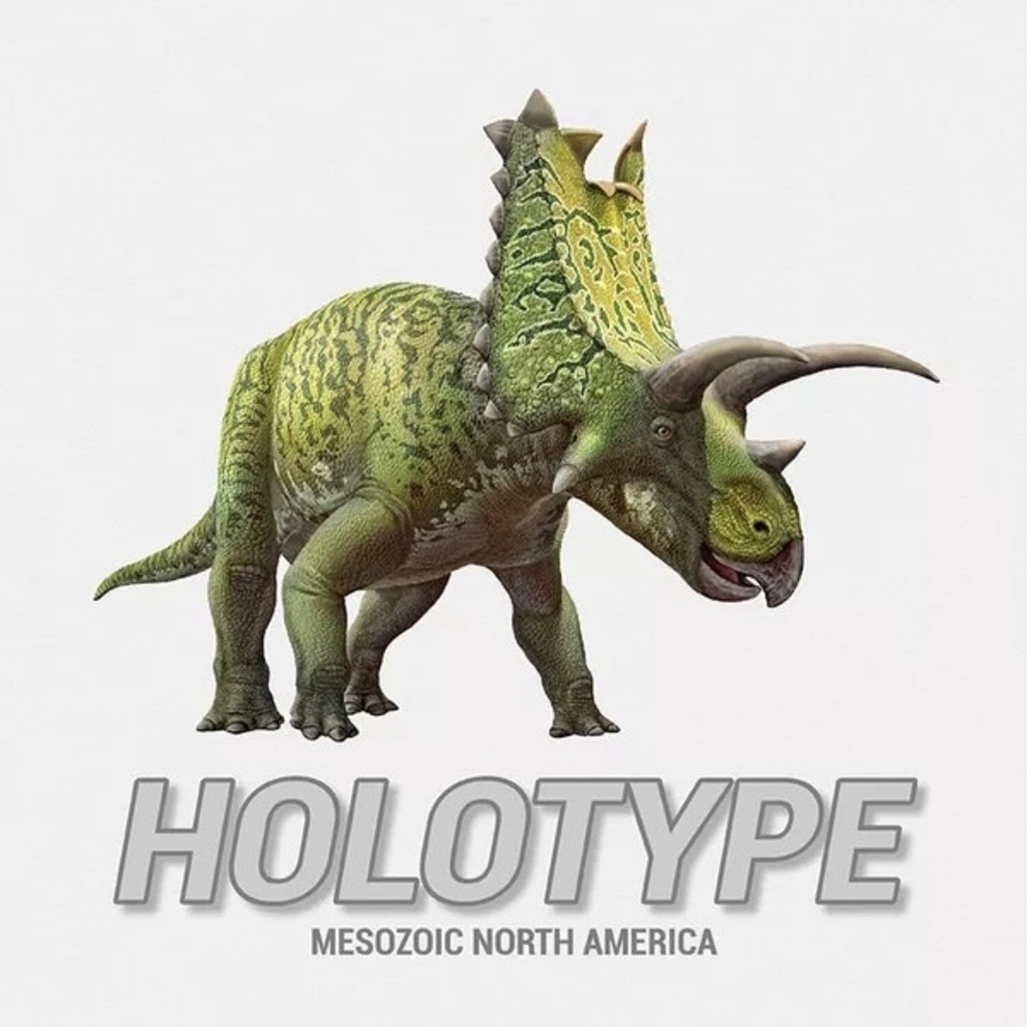 Holotype game with an expansion. Expansion  is included