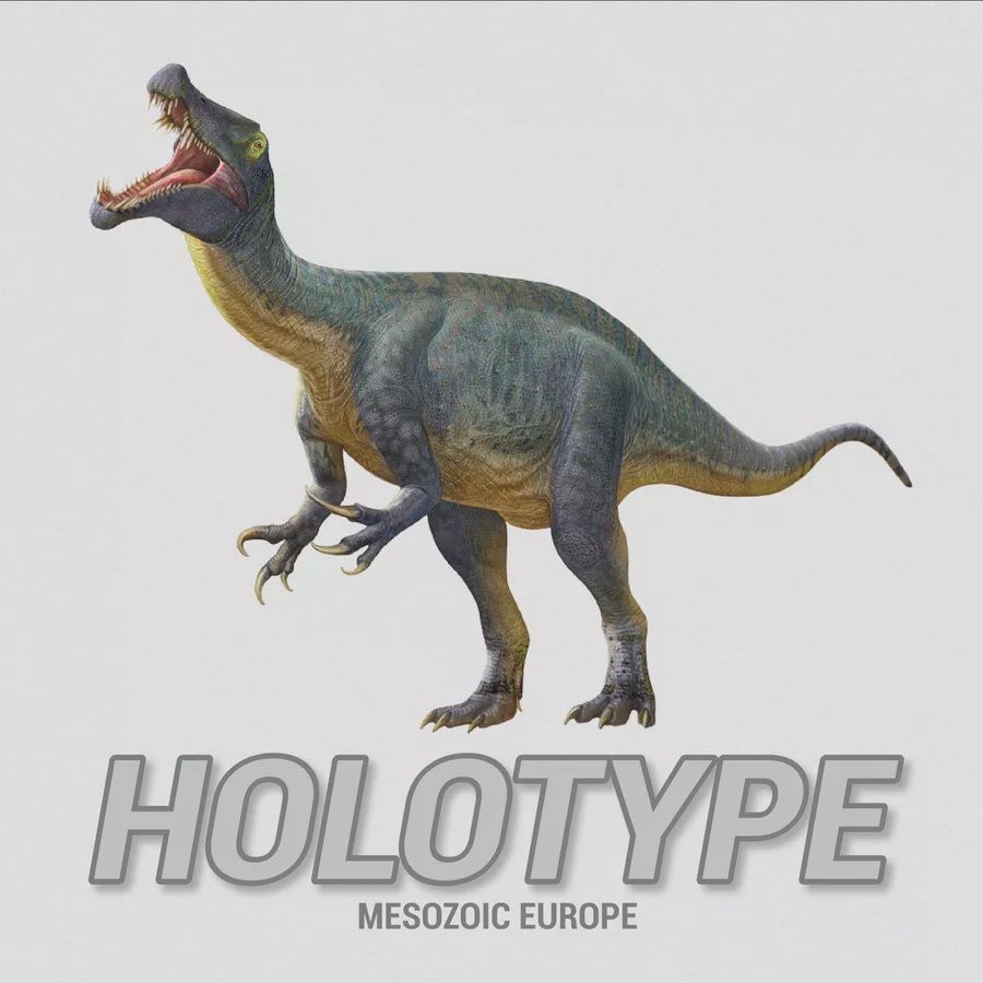 Holotype Mesozoic Europe Continental Expansion
