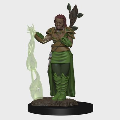 D&amp;D Icons Of The Realms Human Druid  Premium Miniature