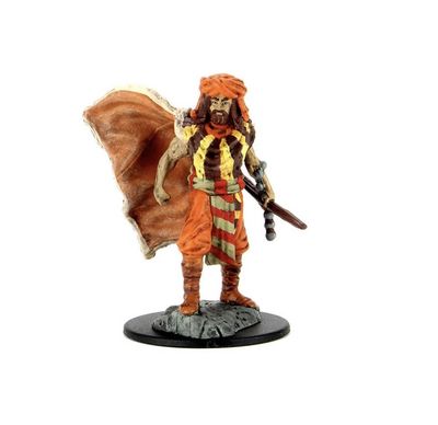 D&amp;D Icons Of The Realms Male Human Druid  Premium Miniature