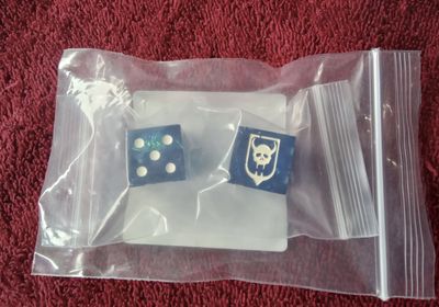 Laser Etched Hansen&#39;s Roughriders Dice Pair