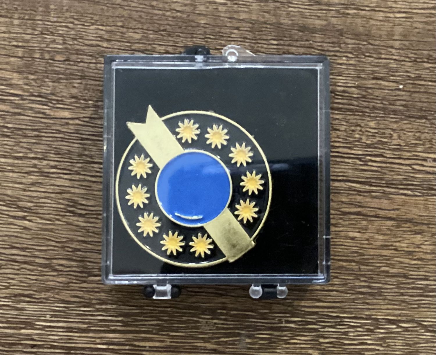 Republic of the Sphere Battletech pin