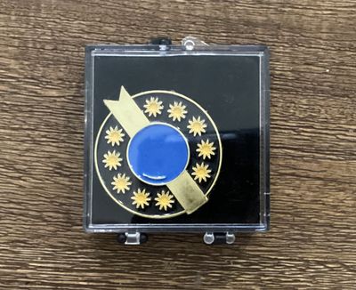 Republic of the Sphere Battletech pin