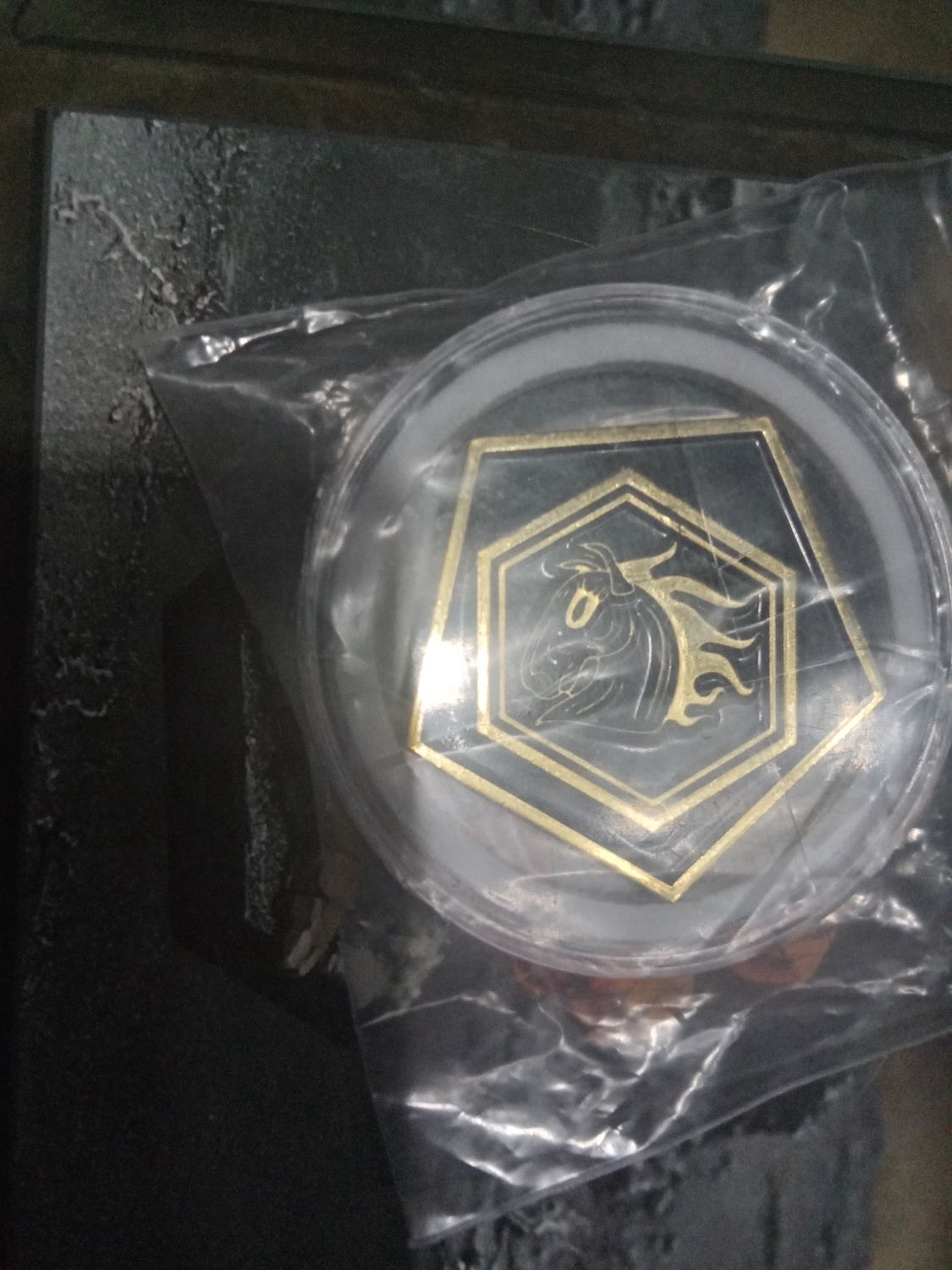 Hell&#39;s Horses Double-sided Challenge Coin Black Series