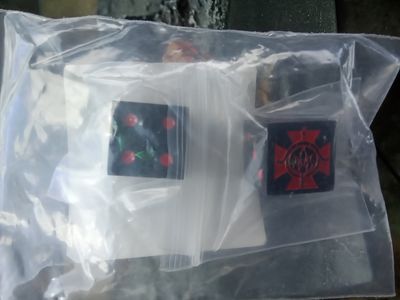 Laser Etched Tamar Pact Dice Pair