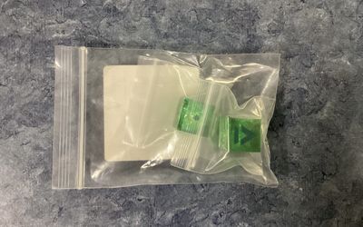Laser Etched Battletech Chevron House Liao 16mm Dice Pair