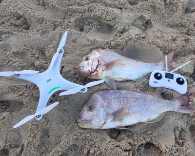 Condor A22S Auto Flight Fishing Drone