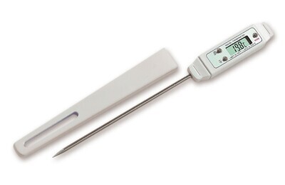 Insertion thermometer