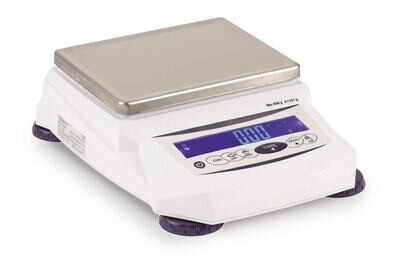 Bilancia di precisione serie BTG, 0,1 g, 6000 g, BTG-6001