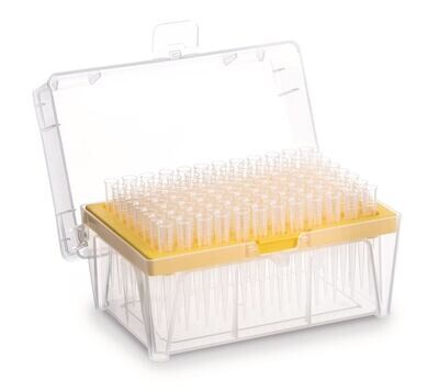 Pipettenspitzen Saphir 200 μl, Box, 960 Stück