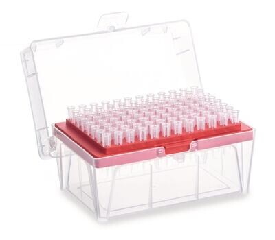 Puntali per pipette Sapphire 10 μl, scatola, 960 pezzi