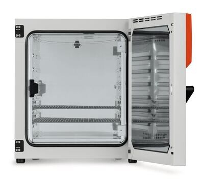 Incubatrice serie BD con movimento naturale dell&#39;aria (convezione), 253 l, BD 260, 1 pezzo