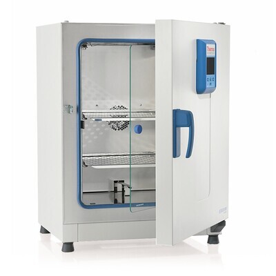 Incubateur Heratherm Protocol series General Protocol avec convection naturelle, 75 l, IGS60, 1 pièce