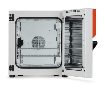Inkubator BF-Serie mit forcierter Luftbewegung (Ventilator), 59 l, BF 56, 1 Stück