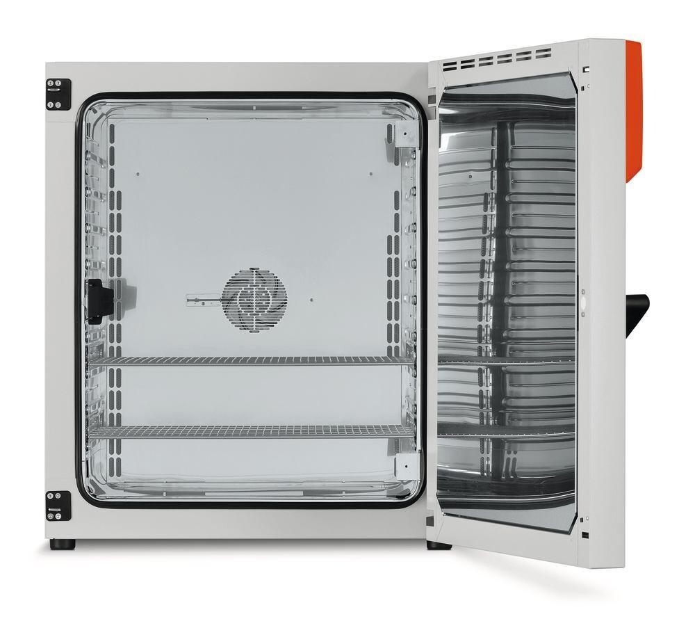 Incubator BF series with forced air movement (fan), 257 l, BF 260, 1 piece