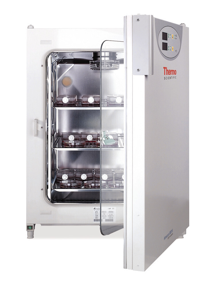 CO2 incubator BB 15, 1 piece