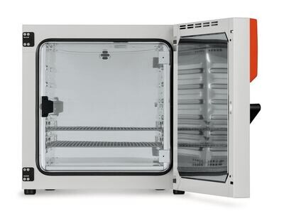 Incubateur série BD avec mouvement d&#39;air naturel (convection), 112 l, BD 115, 1 pièce