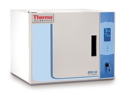 Incubateur à CO2 Midi 40, 1 pièce
