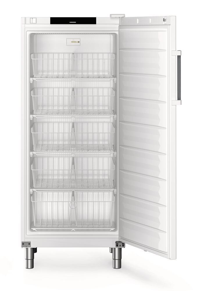 Freezer Performance FFFsg series Model FFFsg 5501, 1 piece