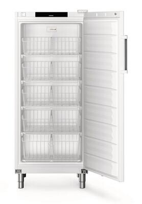 Congélateur Performance série FFFsg modèle FFFsg 5501, 1 pièce