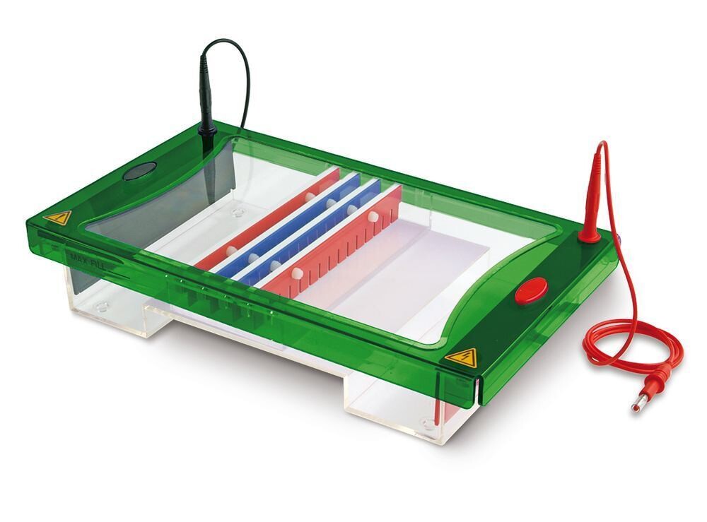 Electrophoresis Unit ROTIPHORESE® PROfessional IV, 1 Piece
