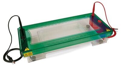 Unidad de electroforesis ROTIPHORESE® PROfessional III Stretch 20, 1 pieza