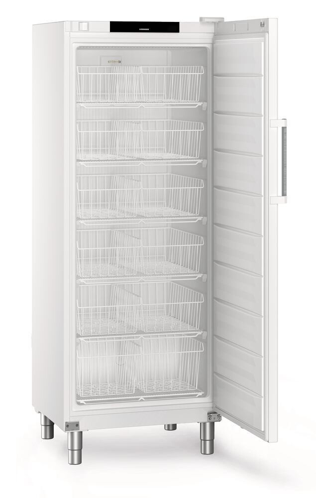 Congelador Performance serie FFFsg Modelo FFFsg 6501, 1 pieza