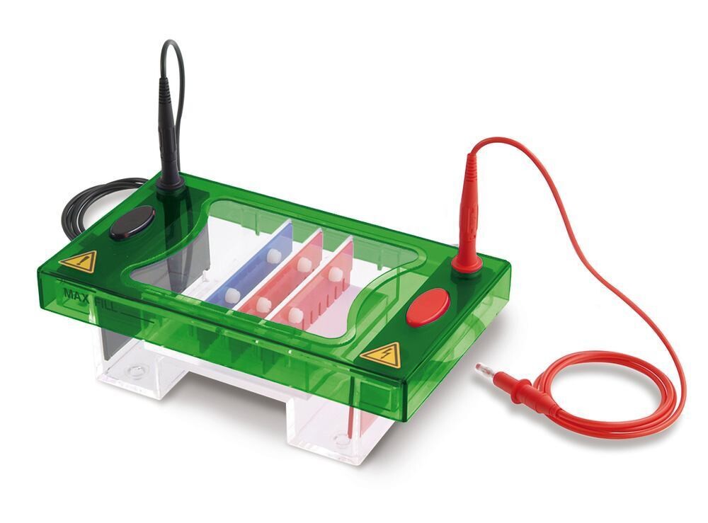 Electrophoresis Unit ROTIPHORESE® PROfessional II, 1 Piece