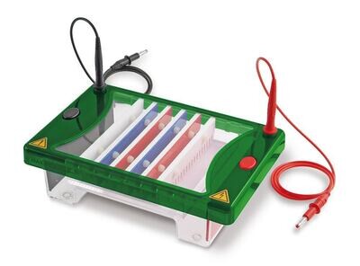 Electrophoresis Unit ROTIPHORESE® PROfessional III, 1 Piece