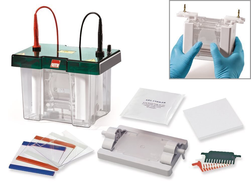 Elektrophoreseeinheit ROTIPHORESE® PROclamp MINI, Komplettset, 1 Stück