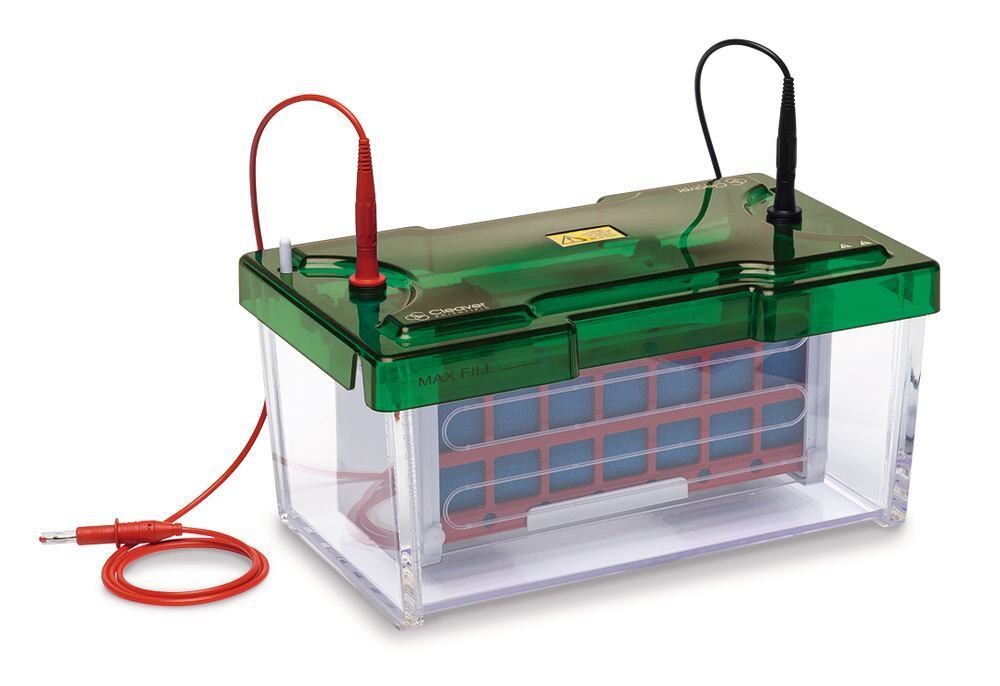 Tank Blotting System ROTIPHORESE® PROclamp Mini Wide, 1 Piece