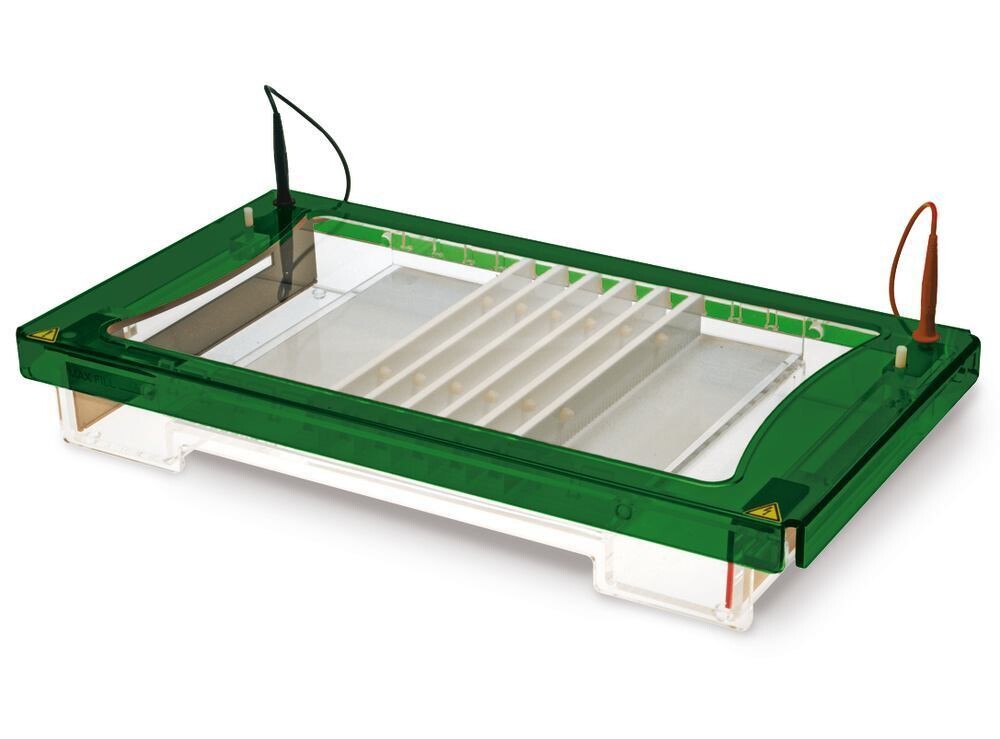 Electrophoresis Unit ROTIPHORESE® PROfessional V, 1 Piece