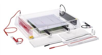 Telaio per elettrodi ROTIPHORESE® PROfessional IEF, 1 pezzo