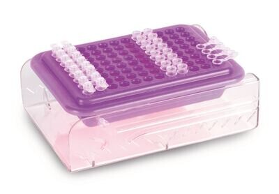 Glacière PCR, du violet au rose, 2 Pièce(s)