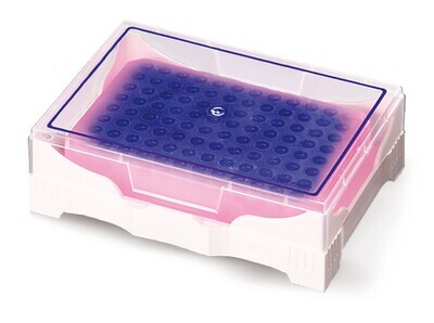 Scatola refrigerante ROTILABO® PCR, da viola a rosa, 2 Pezzo(i)