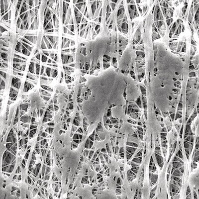 Filtres à membrane Fluoropore PTFE avec structure de support laminée, 3,0 µm, , 47 mm, 100 Pièce(s)