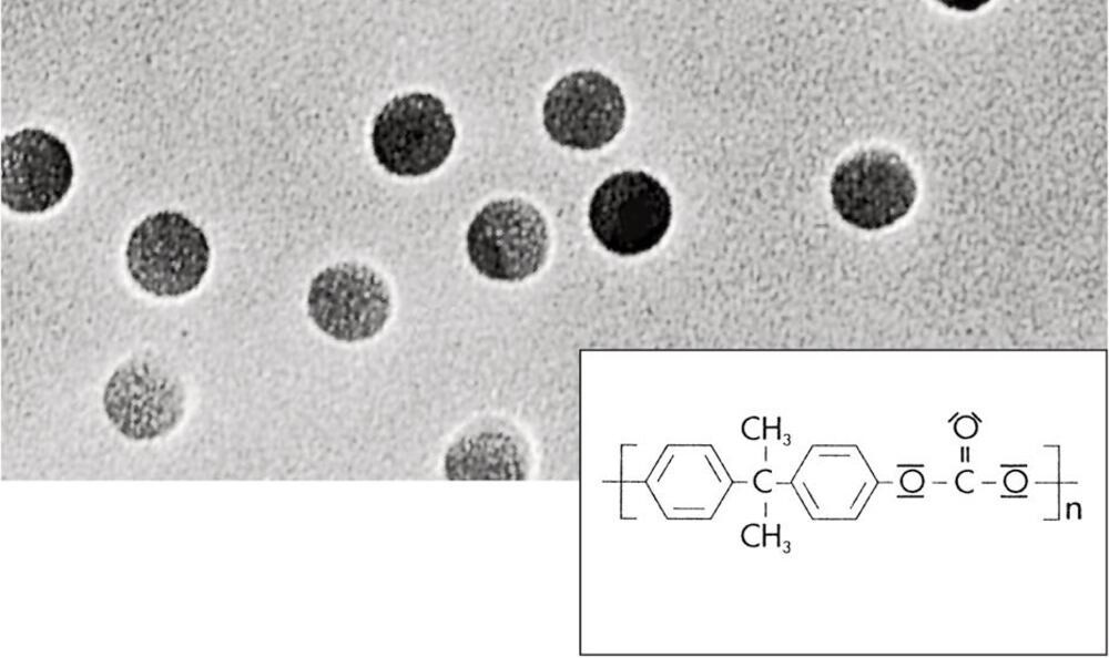 Membrane filters Track-etched polycarbonate, 0,4 µm, , 47 mm, 100 Piece(s)