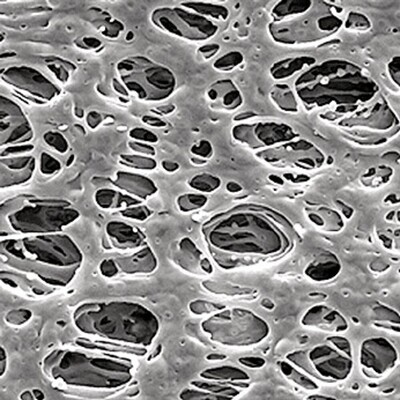 Filtri a membrana Express® PLUS PES, 0.22 µm, , 142 mm, 50 Pezzo(i)