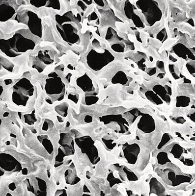 Filtres à membrane Durapore® PVDF hydrophobe, 0,10 µm, , 47 mm, 100 Pièce(s)